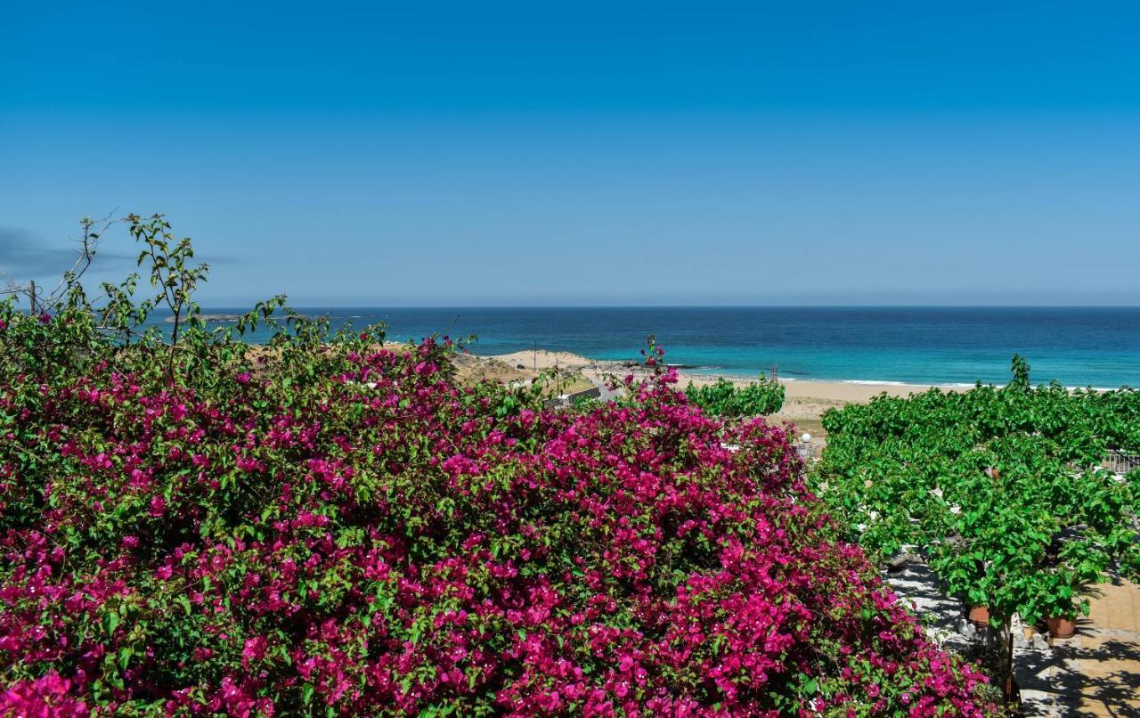 פלאסרנה Panorama Hotel מראה חיצוני תמונה